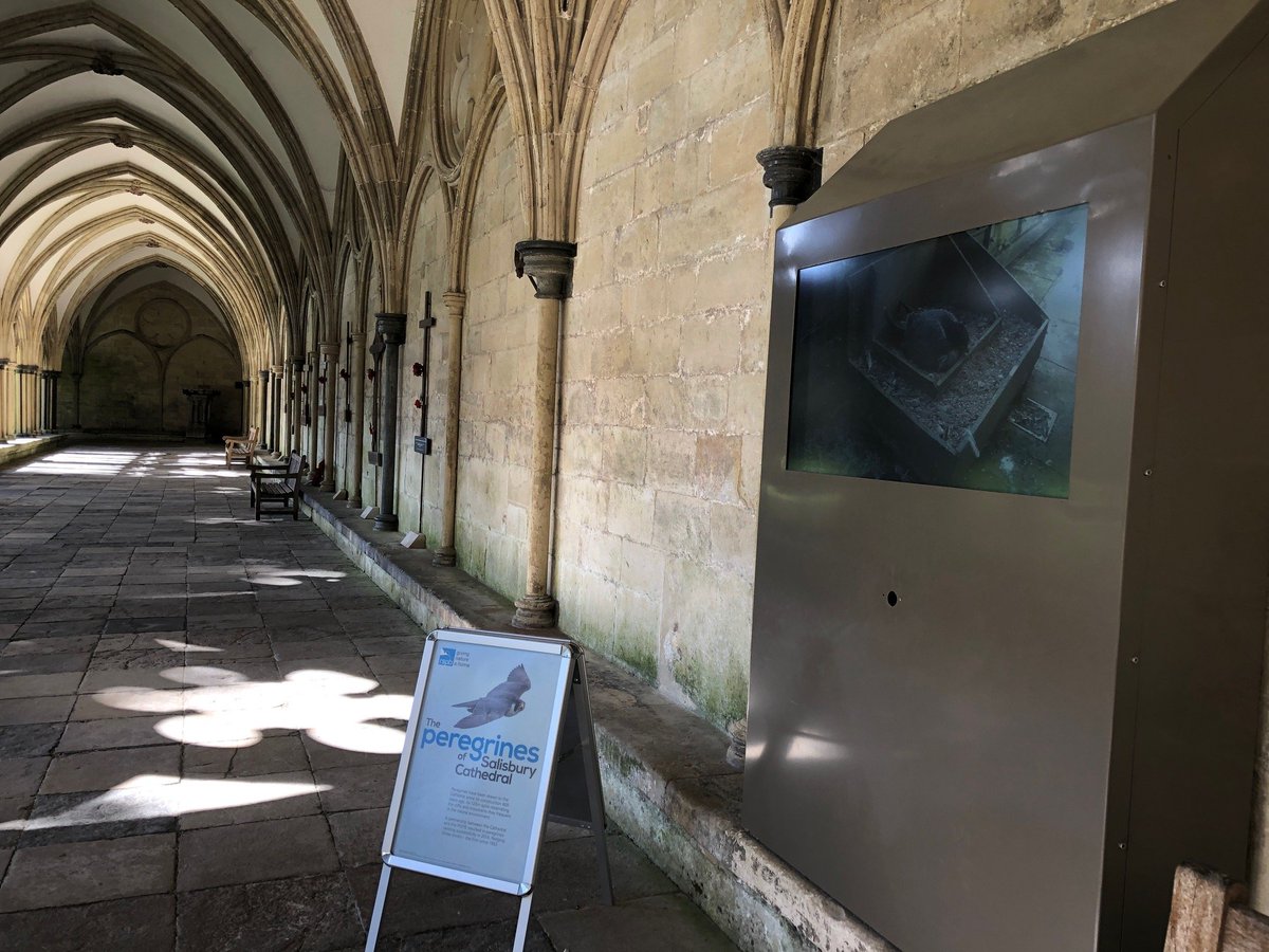 Salisbury Cathedral tweet media