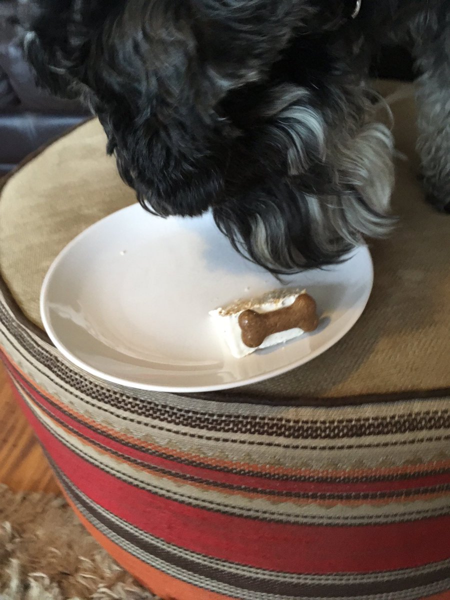 LizRalls's tweet photo. Can you believe that this little boy is 11?!!! He's the best dog EVER. Happy Birthday, Rufus!!! xxx https://t.co/7SomQITucp