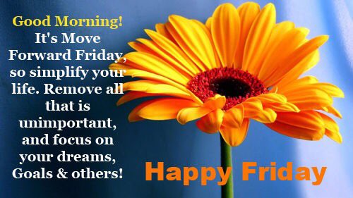 TheElmsSARC's tweet photo. Happy Friday from all at The Elms ππ§‘ You matter. Even small steps can move you toward your goals ππ§‘ #positivity #MoveForwardFriday @MountHealth @PCCCambs @EmeraldSARC @Herts_SARC @Essex_SARC @cambs_dasv @PRCCG_ @CambRapeCrisis @mentalhealth @PsychToday @MindCharity https://t.co/zgxqcJGdYj