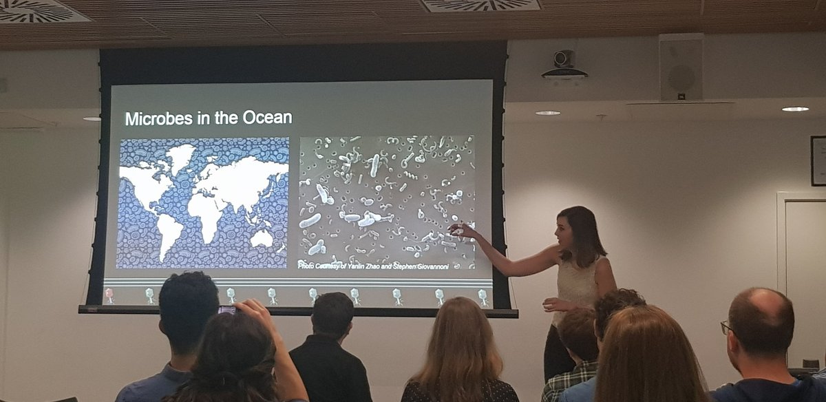 lumpyjenny's tweet photo. Michelle Michelsen kicking ass @bio_exe discussing the war on tiny giants: the importance of #marinemicrobes and their #viral #predation in relation to the #global #carboncycle. Michelle makes a complex topic accessible and interesting! #BIOCON2019 @UoEBiosciences @UofE_Research https://t.co/0kW9h18KxD