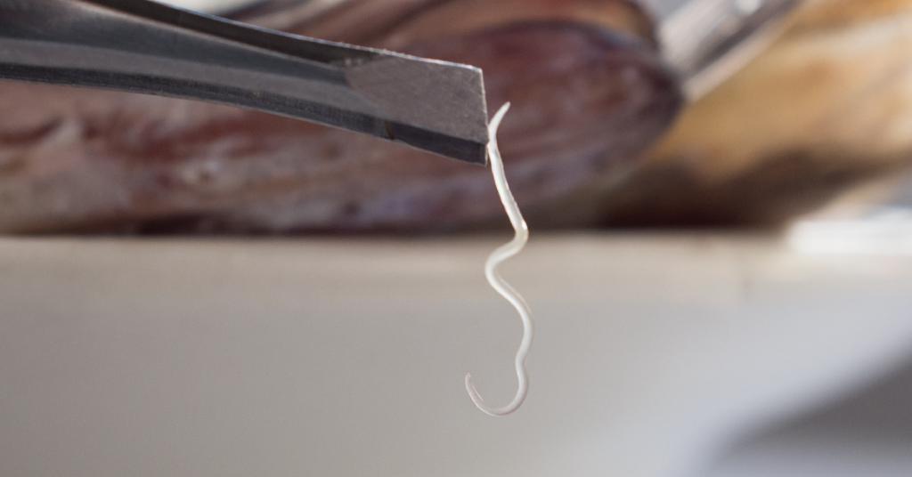 WebMD's tweet image. Many raw foods are safe to eat, but some may have bacteria or parasites lurking. See which uncooked foods carry possible risks: wb.md/2DZxfhF