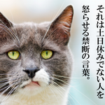 土日休みの人を怒らせる言葉!「明日休みだね」!