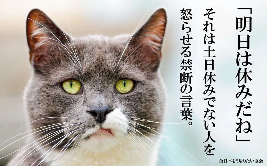 土日休みの人を怒らせる言葉ｗｗｗ「明日休みだね」ｗｗｗ