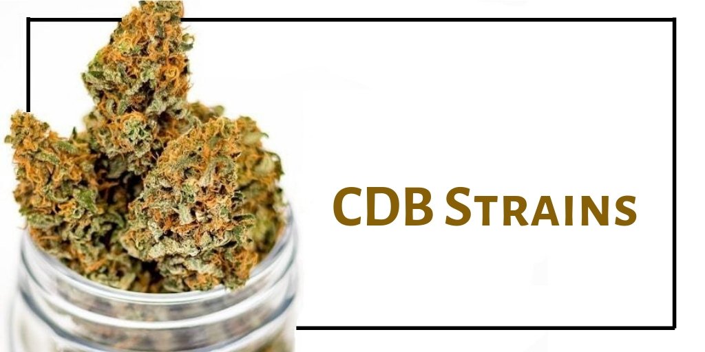 OnlineAvalon's tweet photo. Get The Best Avalon #Medical Marijuana #Strains?

#medicalmarijuana #CBD #strains #mmjcard #mmjdoctors #UnitedByVote #DearMeTenYearsAgo #BTSWORLD #FridayMotivation #IDontCare https://t.co/9DZe55hJ09