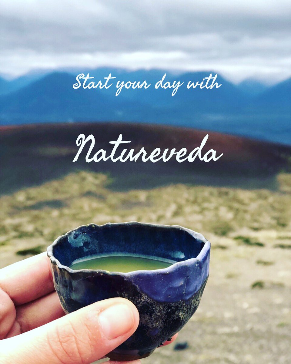 Drinking #matchagreentea 🍵 in the morning can help you be ENERGETIC , STAY CALM and STRESS free day! 

#matchamoment #naturevedastore #greentea #weightloss #cleaneating #matchalatte #traditionalfoods #indianfoods #health #healthierday #morningmotivation #mondaymotivation