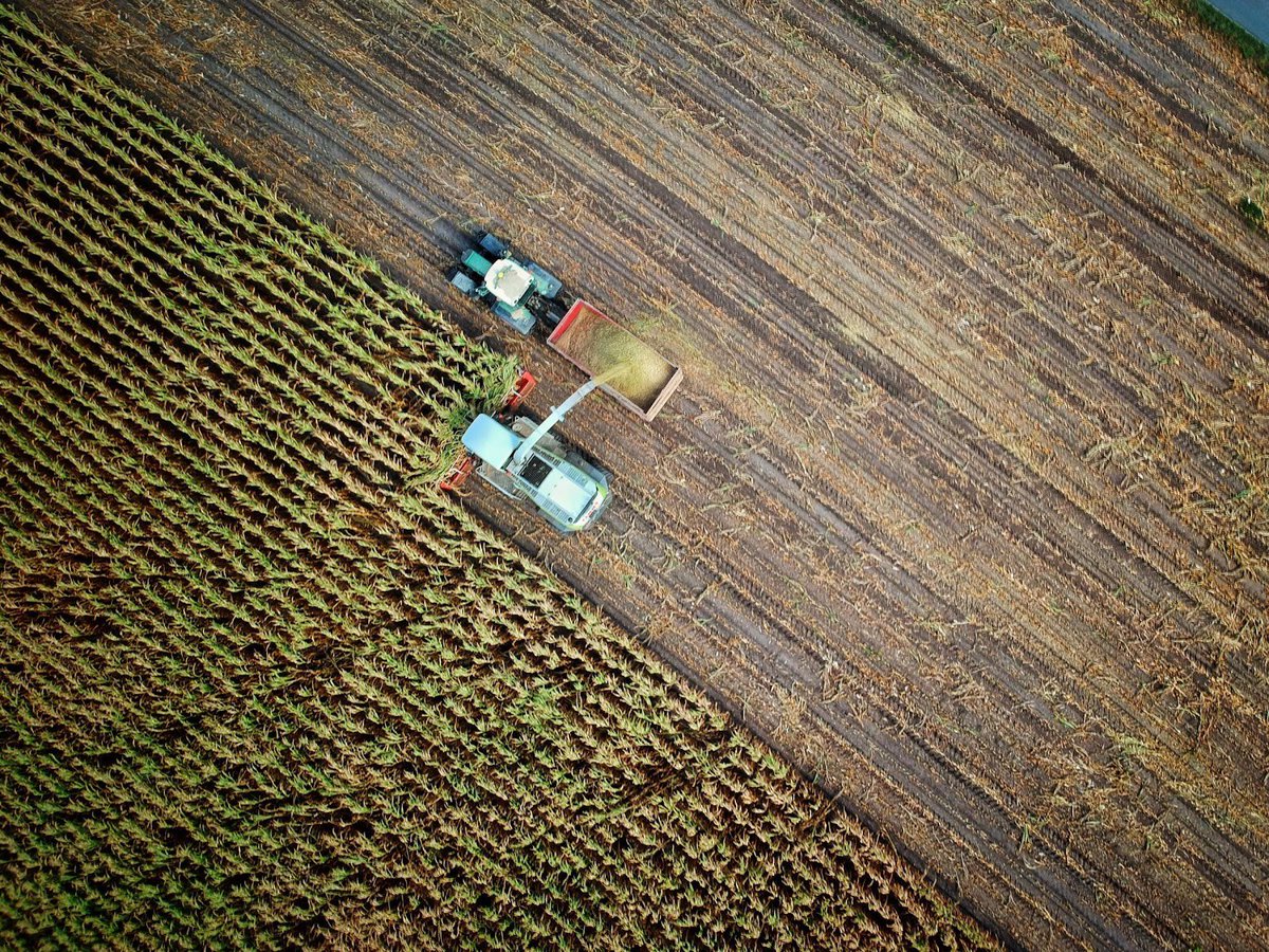 IonBiome's tweet photo. Glyphosate is one of the most widely used herbicides in the United States. The World Health Organization recognizes glyphosate as a “probable human carcinogen”. We created RESTORE in response to this crisis. Click this link for more https://t.co/PWboEfHa1u https://t.co/TpIUHZ9NmJ