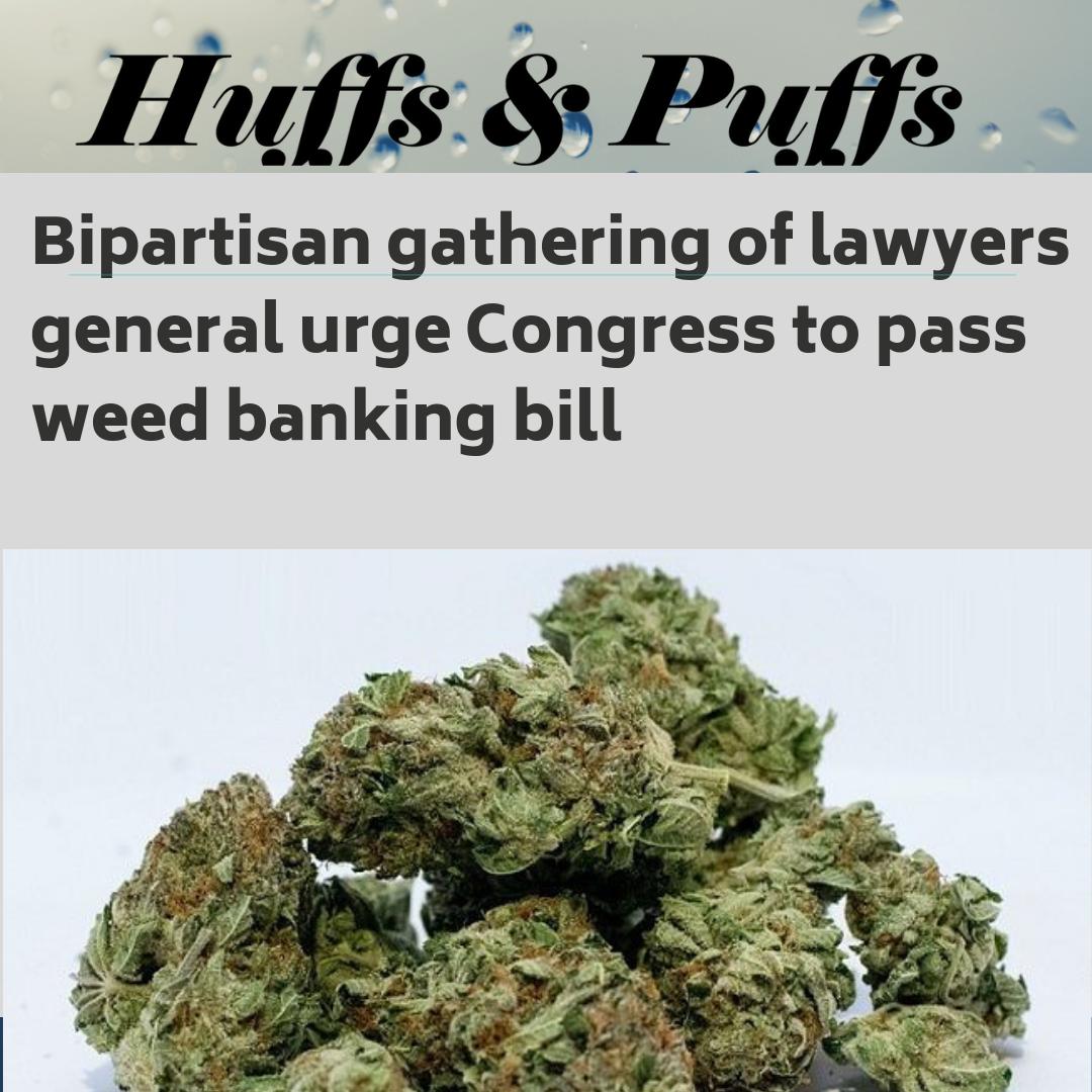 Huffsnpuffs2's tweet photo. #cannabislaw #marijuana #cannabis #laws #pot #weedporn #weed #hemp #hemplegalization https://t.co/L438ud9lr8
