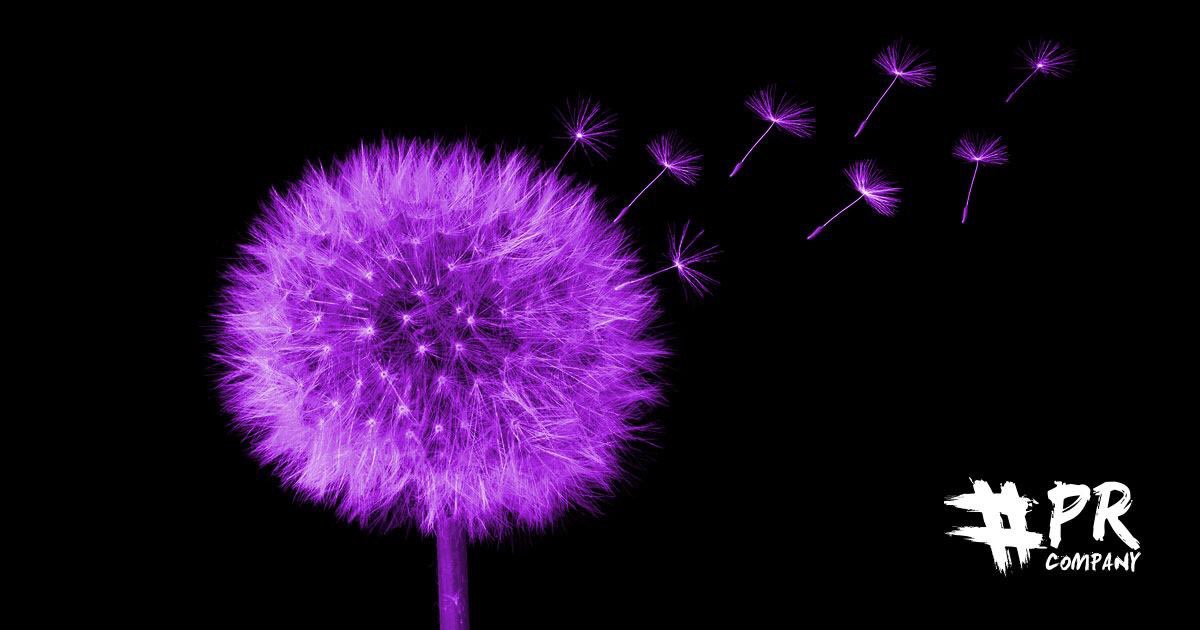 Hashtag_PR's tweet photo. By taking a 360-degree view of your business we can help you find new audiences and extend your reach 💜https://t.co/8lBf4iHZ9I https://t.co/BOxnQrmOYD