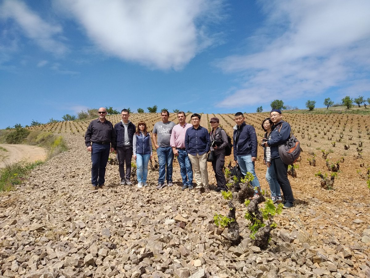 docalatayud's tweet photo. Ayer recibimos la visita de periodistas chinos que han querido conocer nuestra zona, nuestras bodegas y nuestros vinos. Vinieron de la mano de @ICEX_  y durante su visita pudieron visitar varias bodegas y entender y comprender el porque de nuestro #ViñedoExtremo #Vinosdealtura https://t.co/1ioHNs0hvE