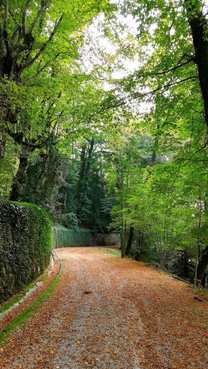 SCabiate's tweet photo. Concorso Di Pittura Estemporanea - 12 Maggio - "Il Paesaggio Di Villa Padulli" - Seconda Edizione - https://t.co/TVnurFoMHD https://t.co/PUQNNlNo5z
