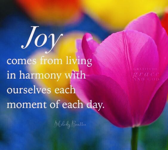 #JOY comes from living in harmony.. #JoyTrain #Joy #Love #Kindness RT @1228erin