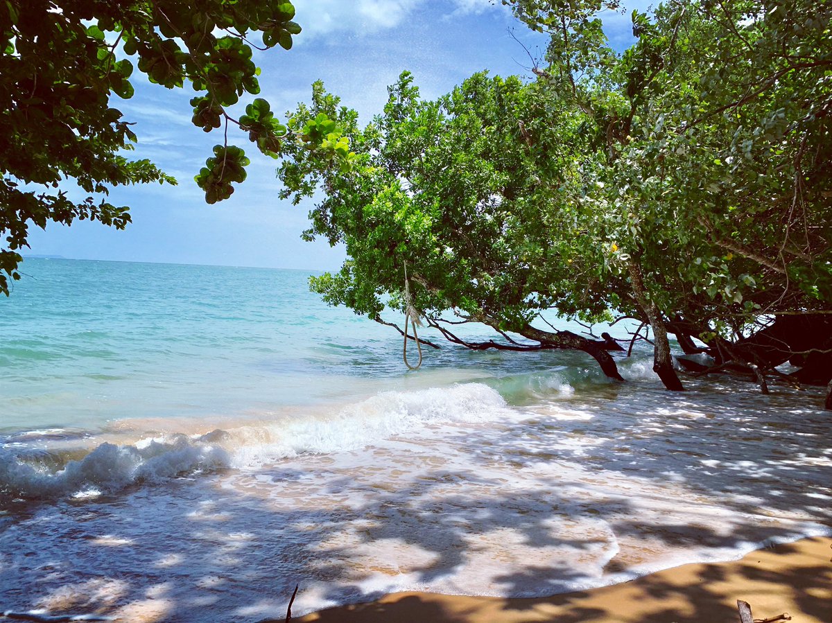 katapao's tweet photo. หาดกวางปีป เกาะพยาม จ.ระนองเปลญวณเยอะดีเหมาะกับการนอนฟังเสียงคลื่นมากๆชิลล์🌊🌊
#เที่ยวไทยกับผลิต
#การท่องเที่ยวแห่งประเทศไทย
#ลดโลกเลอะกับผลิต
#เป๊กผลิตโชค https://t.co/83xgWZKi4n