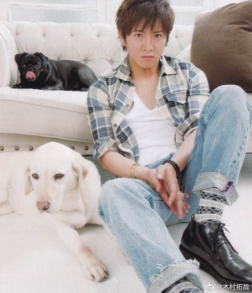 恍惚的猫 C C 和已经离开了的狗狗们的照片 拓哉 木村拓哉这条删除了 又重新发了