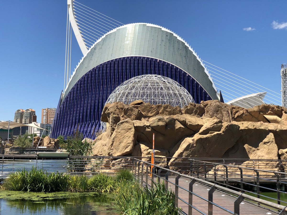 RubenGaon_VALUE's tweet photo. Después de la jornada de trabajo en el Roadshow de Soluciones de @KYOCERA_DS_ES y @Copimed_es , toca disfrutar de una buena comida y una visita guiada por el @Oceanografic_vl en la mejor compañía posible 🍽🐠🐋🦈🐊 Muchas gracias a tod@s l@s asistentes 😃 https://t.co/ubwykuTfJA