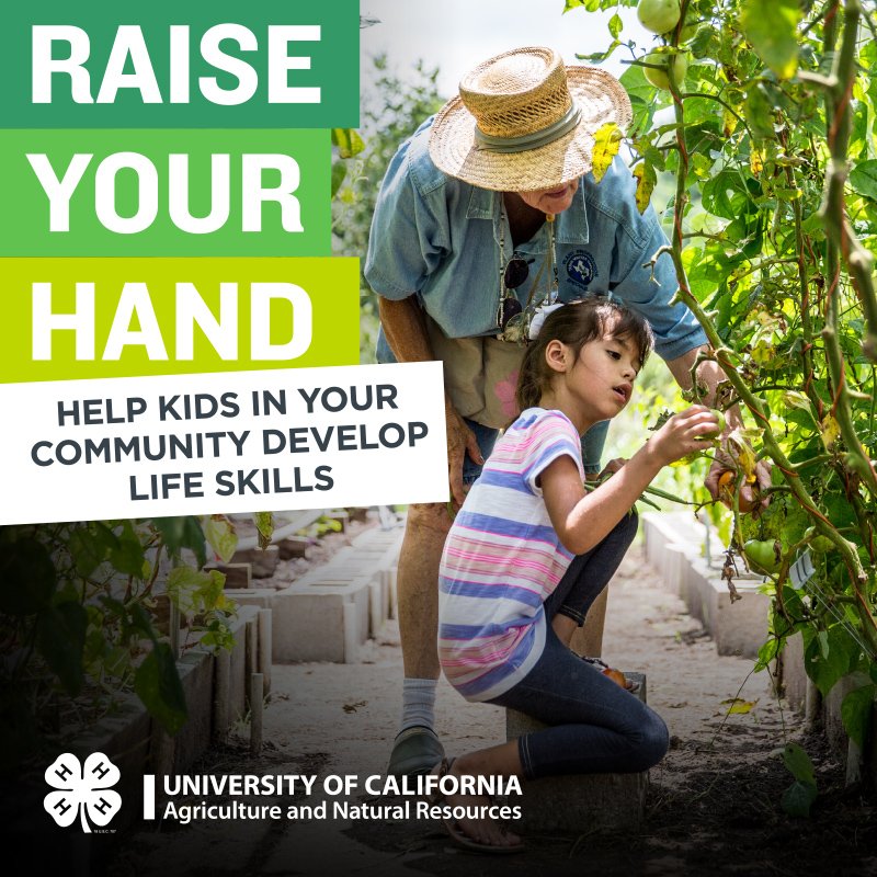 UC 4-H SLO County (@4H_SLO_County) / Twitter