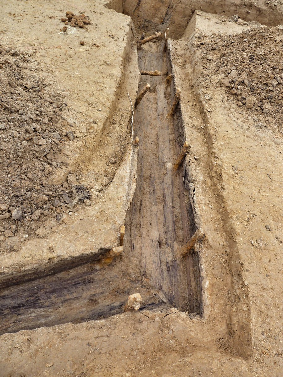 Simon Verdegem tweet media