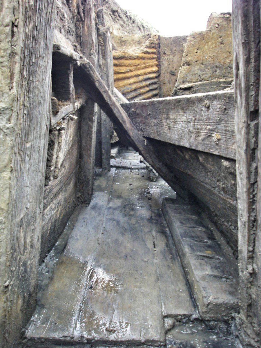 Simon Verdegem tweet media