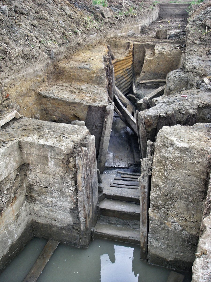 Simon Verdegem tweet media