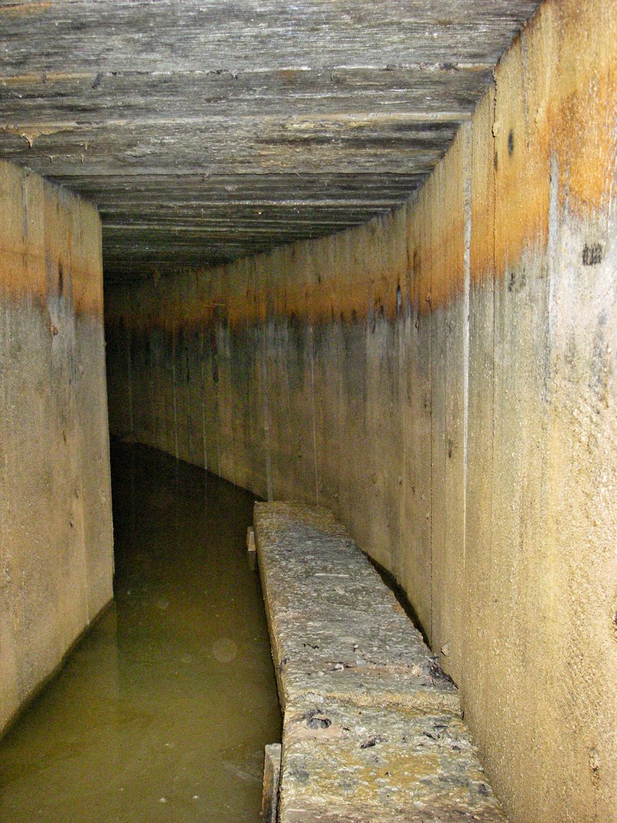 Simon Verdegem tweet media