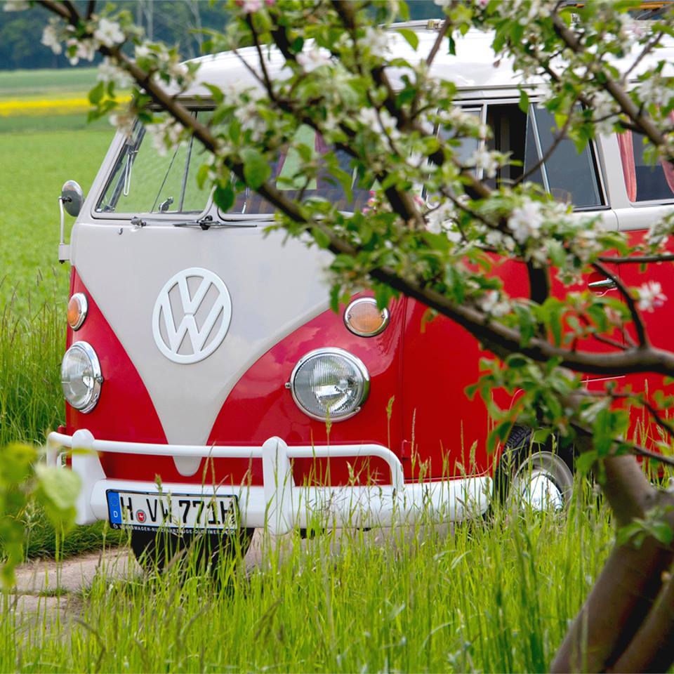 Ardasa2000's tweet image. Un buen plan para este fin de semana 😎🚐. #Volkswagen #FurgoAdictos