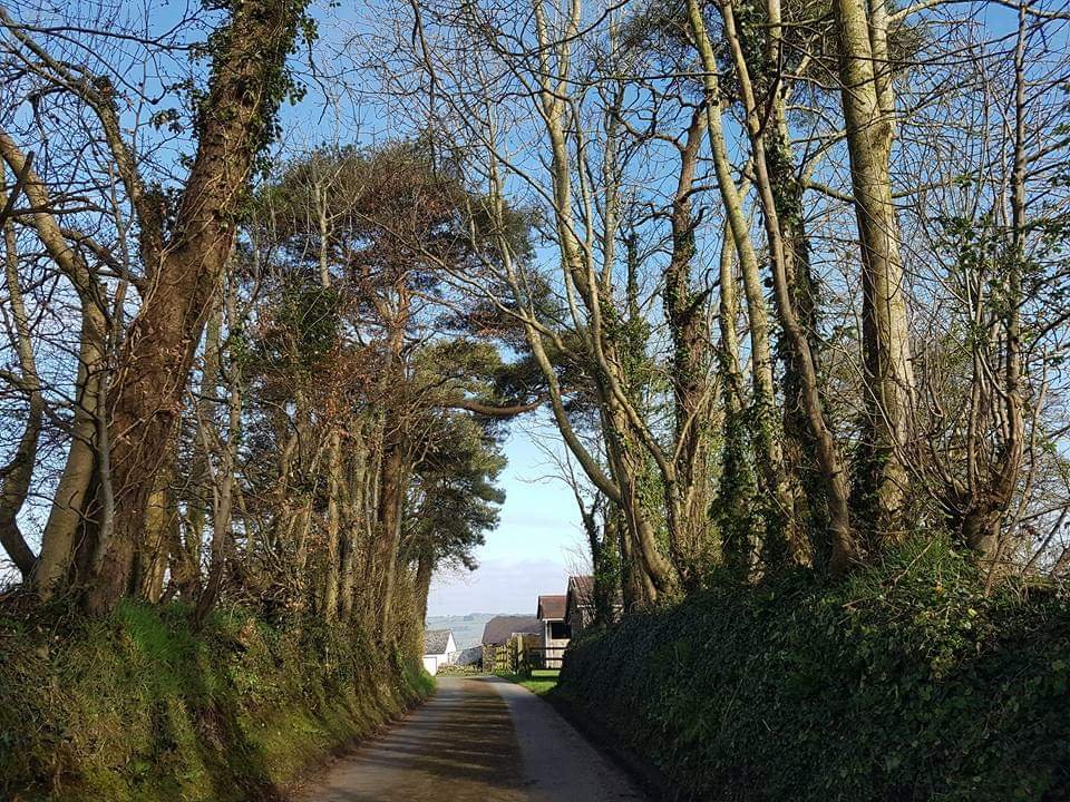 <a href="/dolcoed/">Dolcoed</a> #naturism Perfectly peaceful, rural and tranquil. Call 01559 395820 great for <a href="/UKNaturism/">UK Naturism</a> @Pines_Naturist
<a href="/HEnaturist/">H&E naturist</a> <a href="/britnaturism/">British Naturism</a> 
<a href="/southwestnudist/">Southwestnudist</a> <a href="/NudieDudies/">Nudie Dudies S Wales</a> <a href="/BNSouthWest/">British Naturism South West</a>  <a href="/group_leeds/">Leeds Naturist Group</a> <a href="/NaturistNews/">Naturist News</a> <a href="/YBNUK/">Young British Naturism (YBN)</a> <a href="/NwEngl_NATURISM/">NorthWestEngland 🌍 NATURISM</a>