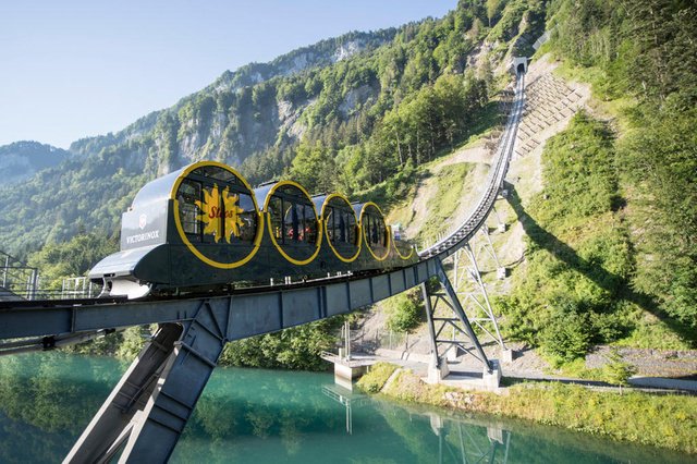 Längster schwans der welt