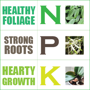 creekside_ltd's tweet photo. Planting Silage can lead to better recycling of Potassium and Nitrogen in the soil. Potassium helps create stronger stems and increase rate of growth while Nitrogen helps with better yields, healthier plants and better nutrition. https://t.co/OvYlMNGshH