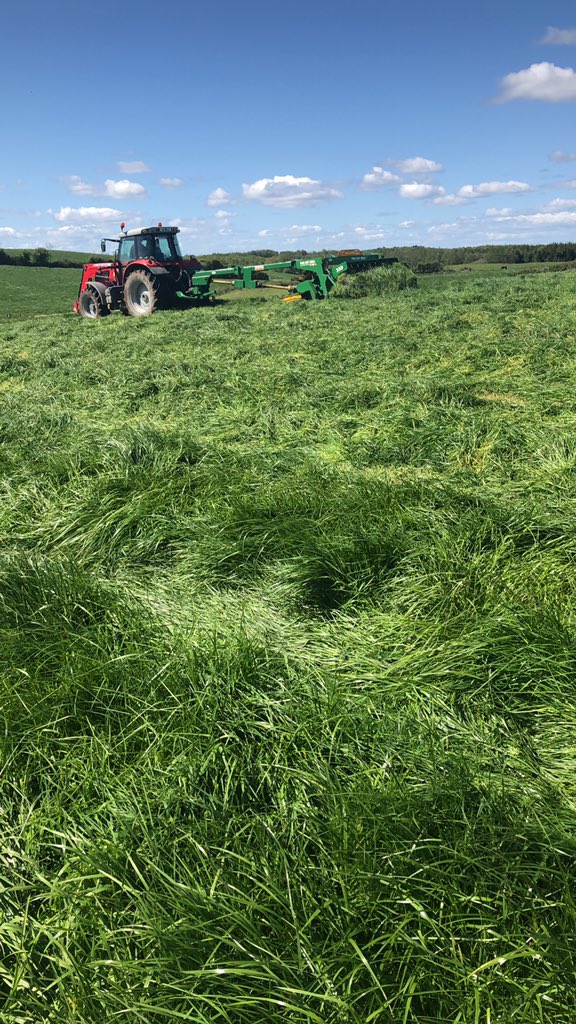 Thomas Reilly tweet media