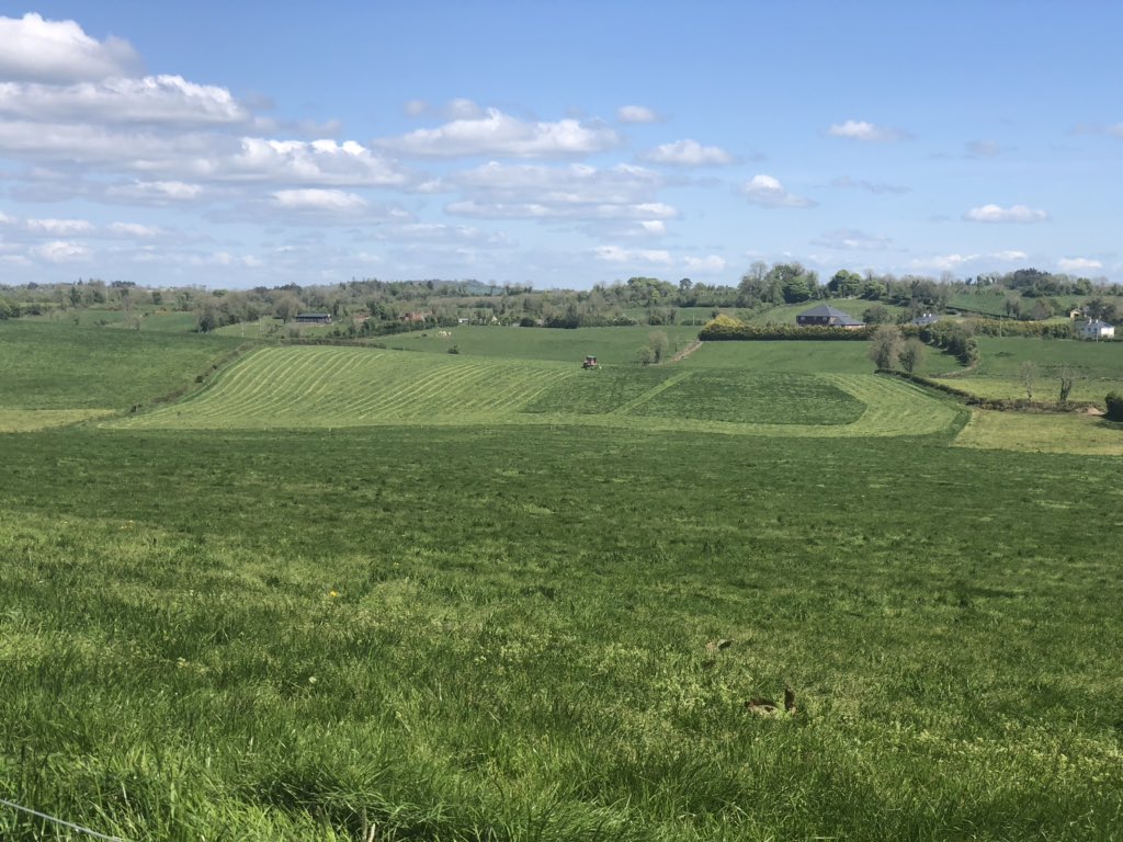 Thomas Reilly tweet media