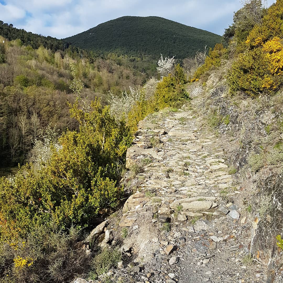 carlosguardia10's tweet photo. D'acord amb la interpretació de les fonts documentals i l'observació de camp, aquest és l'antic camí ral de Sant Julià de Lòria a Fontaneda, i que conserva, parcialment, el seu caràcter original #Andorra #camins #CamiGeneral https://t.co/Q4soaaTCJd