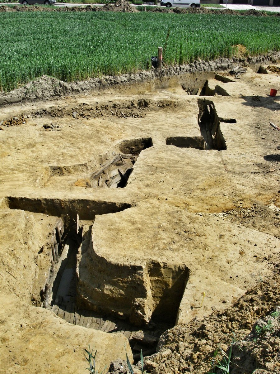 Simon Verdegem tweet media