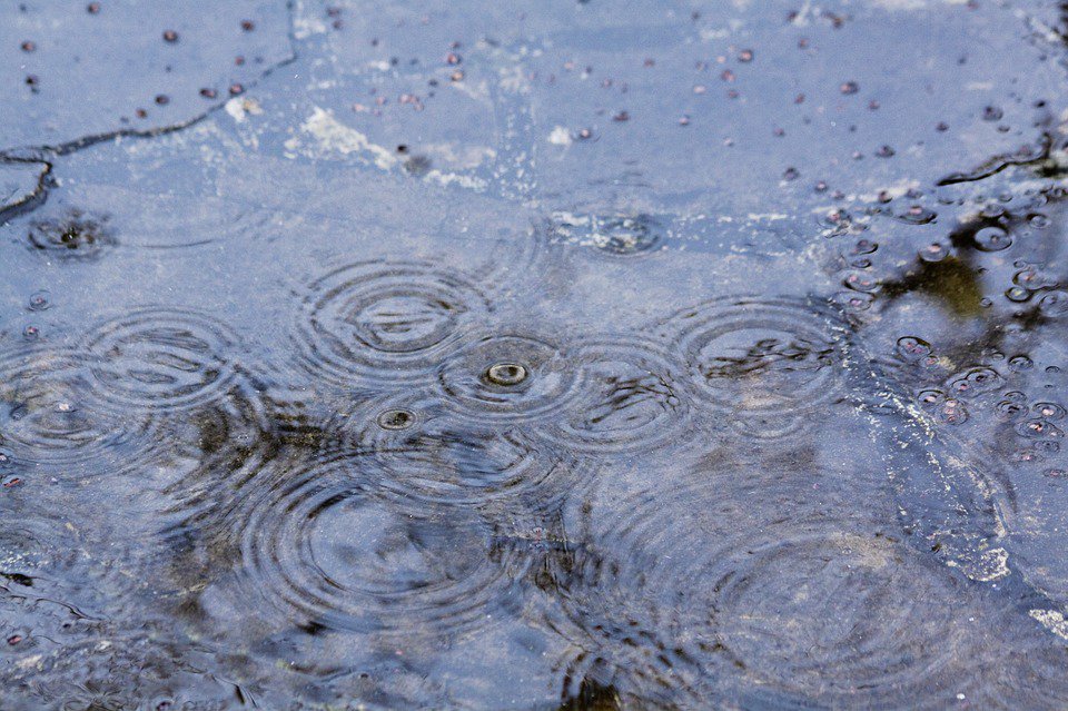 Paradigm Pumps tweet media