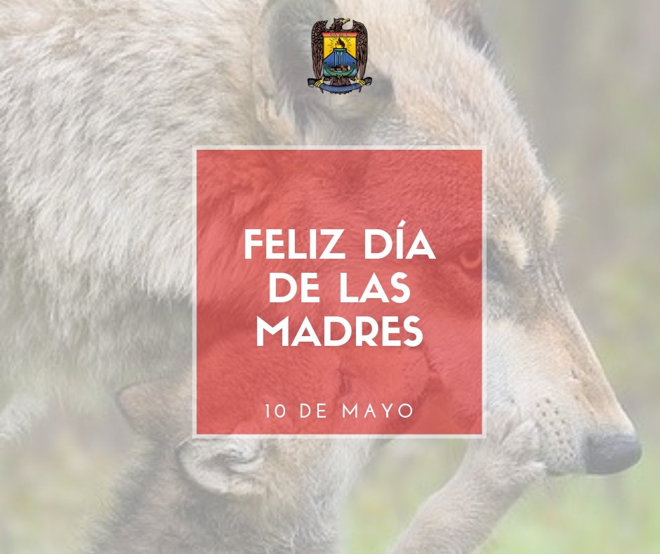 UAdeC's tweet photo. ¡Feliz día de las madres! #FelizDiaDeLasMadres https://t.co/WNuYSQ9rbc