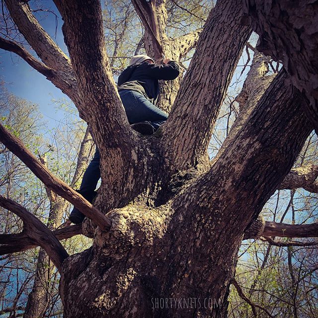 shortyknits's tweet photo. Funny thing is, I’m terrified of heights. The things we do for a smiley.
•
•
•
#geocaching #caching #gocaching #gogeocaching #springcaching #geocachingadventures #forestpreserve #treeclimb #shortyknits https://t.co/OS012S9egH