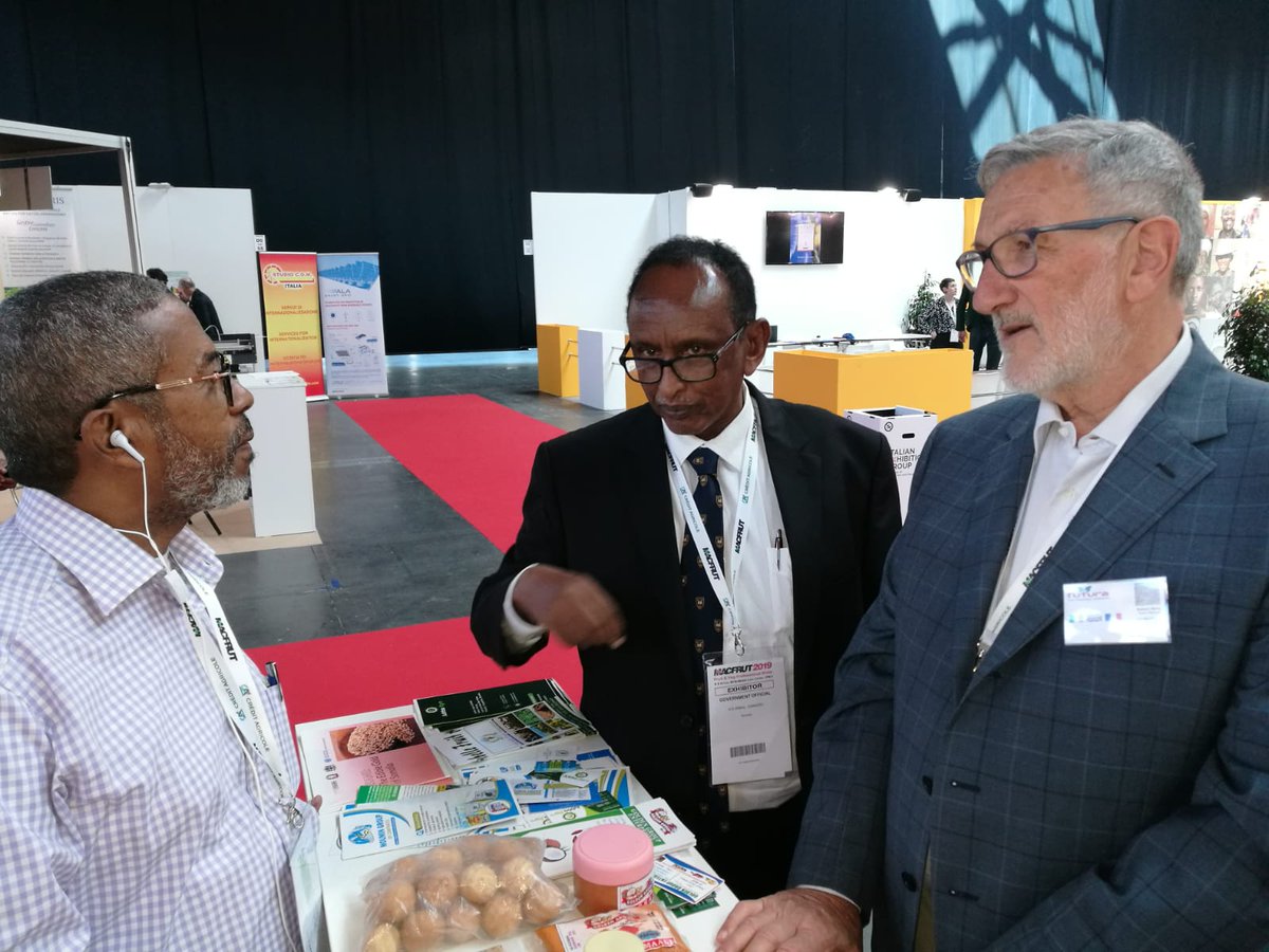 ITPO_Italy's tweet photo. #Macfrut2019: BtoB meeting between the Somali company Golden Group Enterprise, supported by the Puntland Minister of agriculture, and the Italian Futura. 🇸🇴🇮🇹 @UNIDO @UNIDO_ITPO https://t.co/CIZqAfjZf7