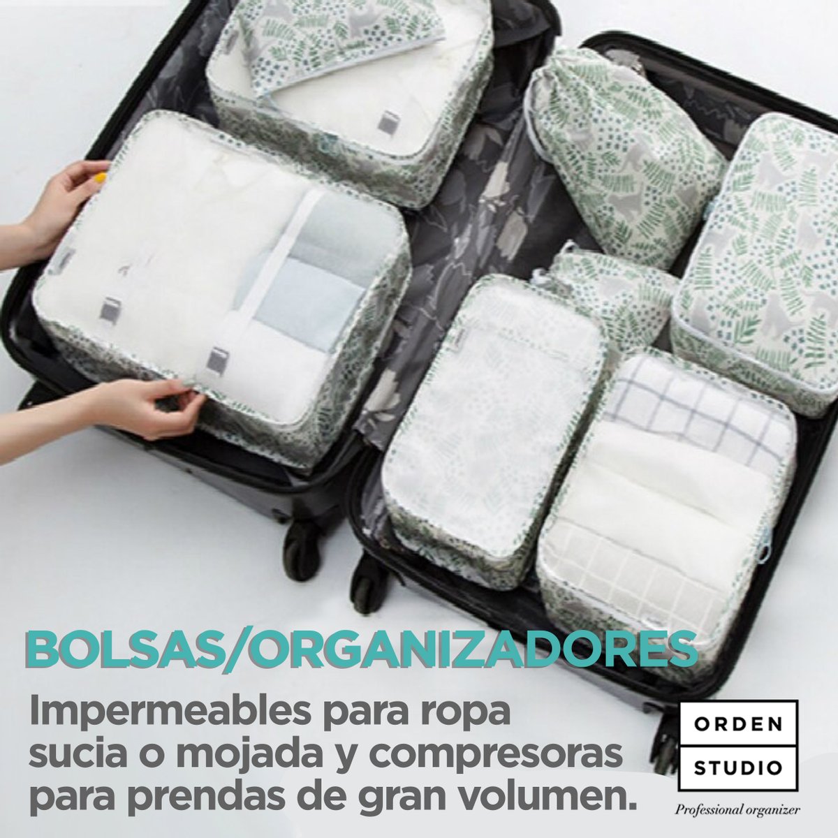 Orden Studio tweet media