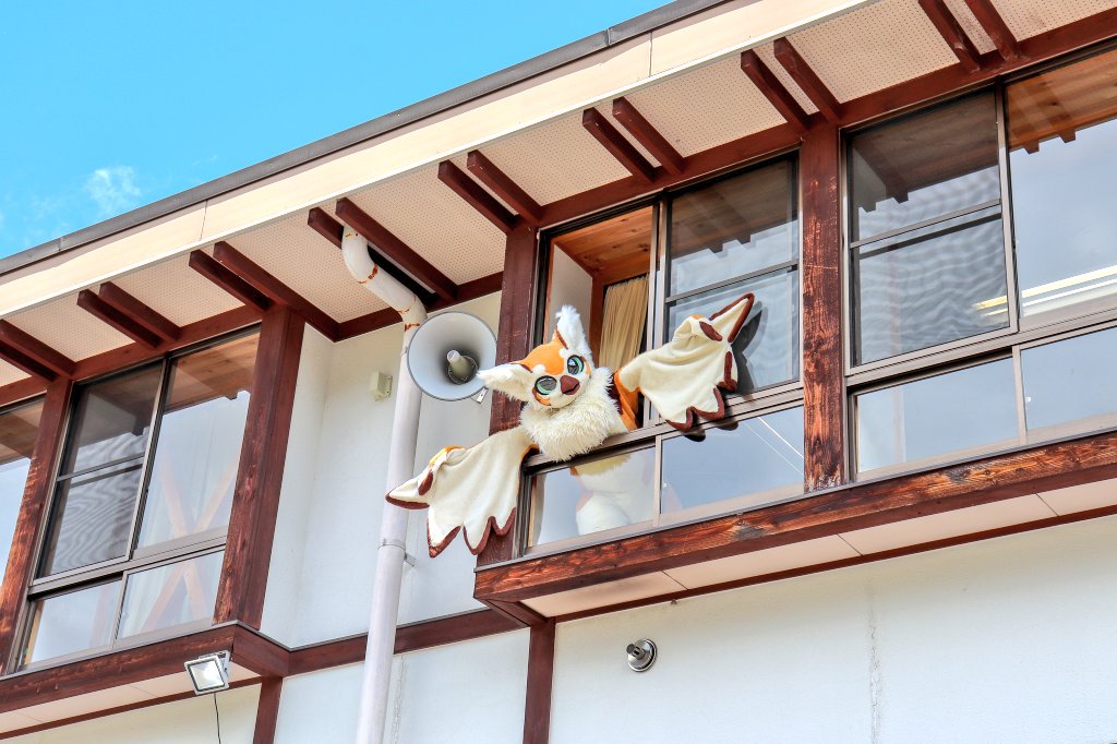 MayT0602's tweet photo. Good Morning! 
#FursuitFriday #TDOS2019
📷️:@chaba_ciel https://t.co/9m02IRqeDJ
