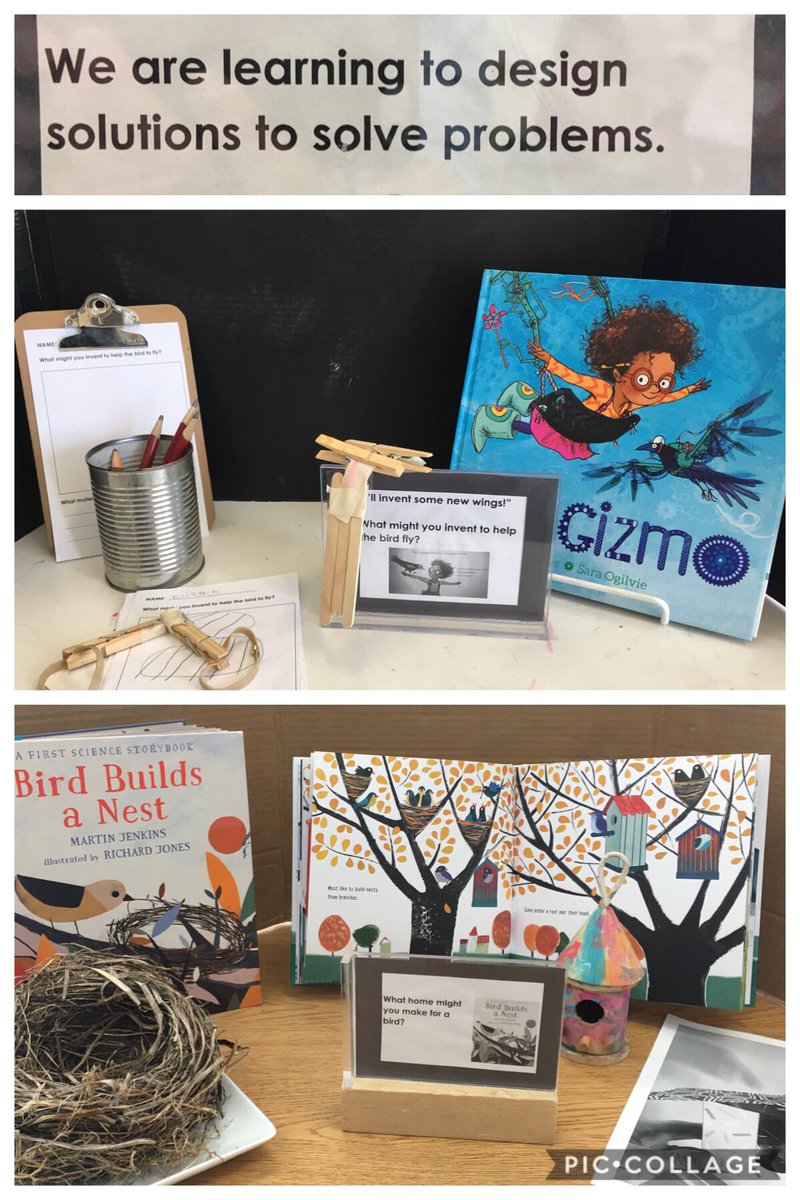 B_Rieper's tweet photo. Extending our learning about the needs & characteristics of living things w/ some new favourite books and invitations for play. Even books about birds have invited conversations about race, representation, & stereotypes! 🦜🦜🦜 @EarlyYearsTDSB @RHMcGregor1 @MsPoulis #RHM203 https://t.co/S9bHqxpew5