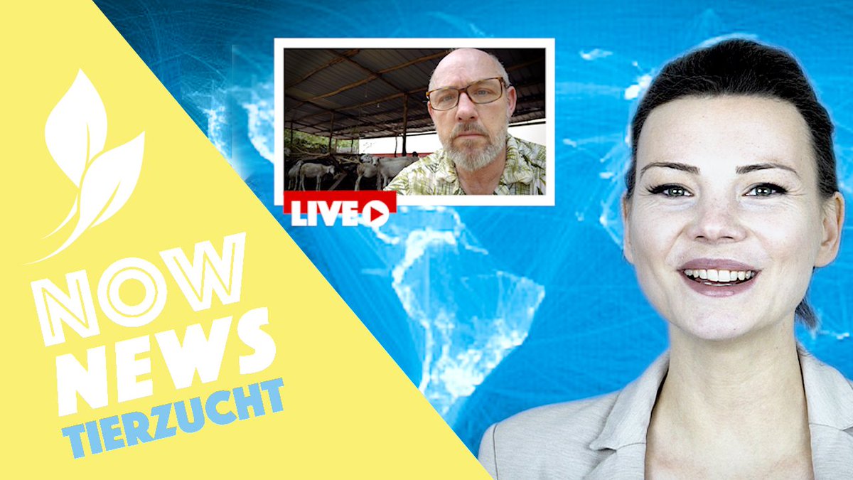 natureOffice's tweet photo. Neues YouTube-Video online! Schaut gleich rein und erfahrt wie und warum unser Klimaschutzprojekt PROJECT TOGO eine Schafzucht integriert... Geht das eigentlich zusammen? https://t.co/guO6MATKMo https://t.co/Qgef6NYNVY