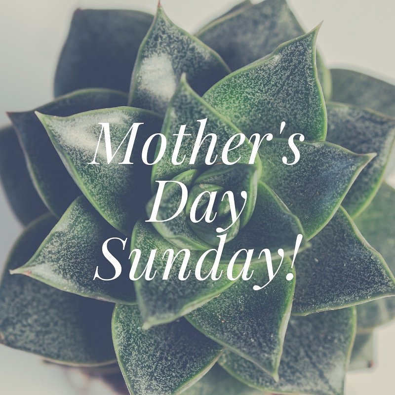 StuHodges tweet media