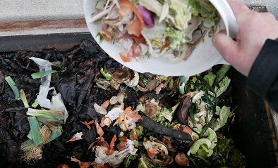 🎓 Nouvelle formation en ligne ! 
➡️Quelles solutions de collecte pour les biodéchets des professionnels ?
📅11/06/2019 14:30 avec Jérôme PERRIN <a href="/loveyourwaste/">Love your waste</a> 
🎫 Inscriptions : ow.ly/uQcJ30oH8BI
#dechets #traitementdechets #zerodechet #collterr