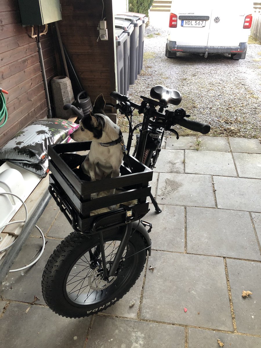 ElitePimpeN's tweet photo. @magnusjonasson Jag har en. Klart värd pengarna i mina ögon. Jag skaffade den som alternativ istället för att alltid ta bilen till jobbet. Och hunden gillar också att åka med 😊 https://t.co/T8Q1AU0N1l
