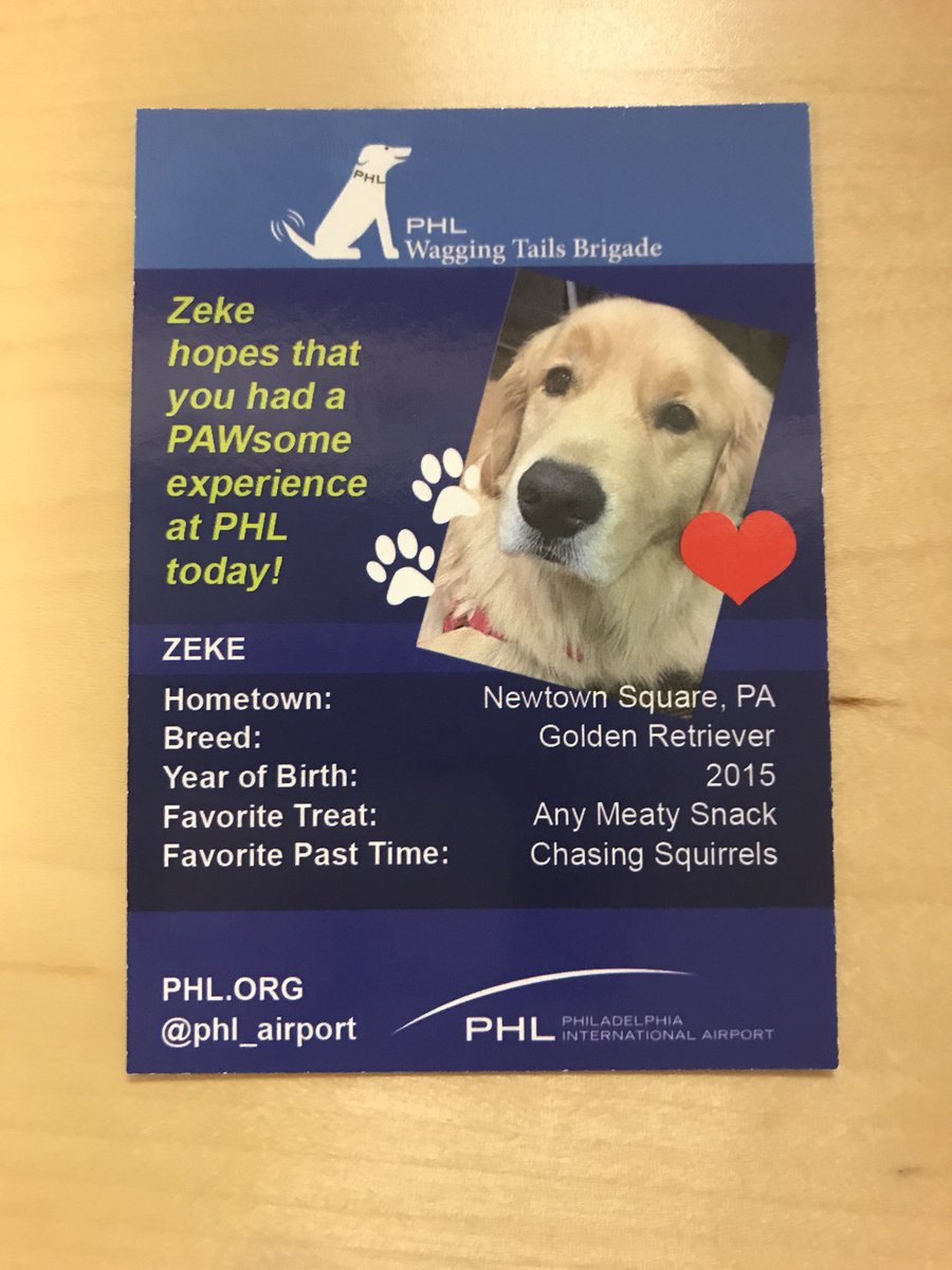 Passing thru #PHLairport this morning? Wagging Tails Brigade member Zeke and his handler Tom will be strolling the terminals from 9:30am to 11:30am! #AirportTherapyDogs #TherapyDogsRock