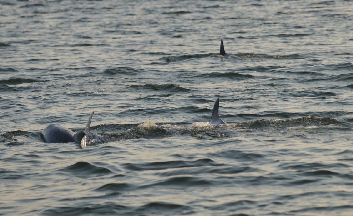 GoneWildOutdoor's tweet photo. @EITMonline from my boat while on the Chesapeake https://t.co/gxVBVuwLwT
