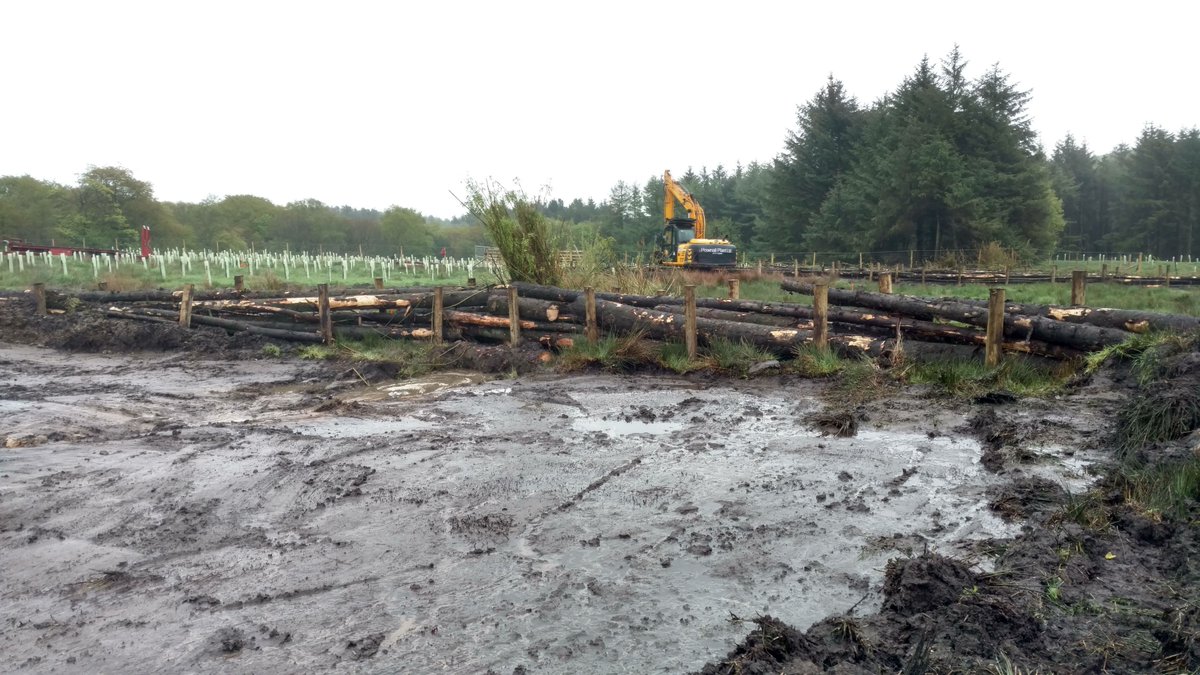 WTrustRuss's tweet photo. We've started building 25 new leaky dams at the #smithillsestate to help prevent flooding and improve environmental health with help from our partners at @EnvAgencyNW, Community Forest Trust, @CityofTreesMcr and @merseyforest #NationalLotteryHeritageFund. Find outmore below https://t.co/Yy1Nx4gtkl