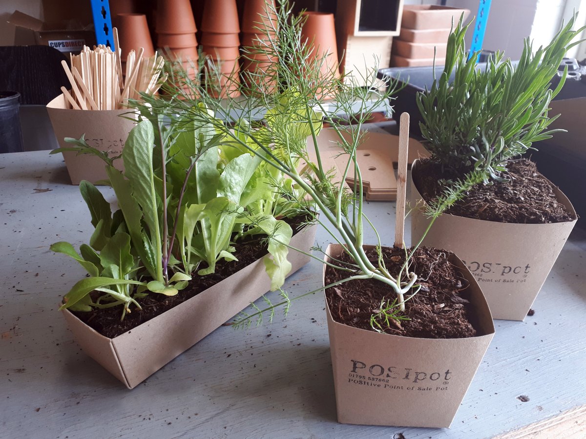 ProducedinKent's tweet photo. Busy day yesterday, talking all things edible with @ediblecultureuk plastic free plans, edible growing & a networking event -watch this space followed by @nimsfruitcrisps #Airdriednotfried crisp makers and refreshed by an Edible Tea from their @TasteKentAwards winning range. https://t.co/1qkv1OaOX4