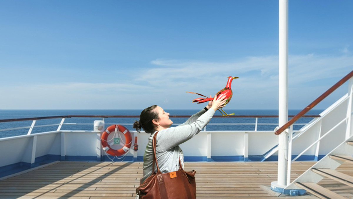 Vic Robertson Elementary tweet media