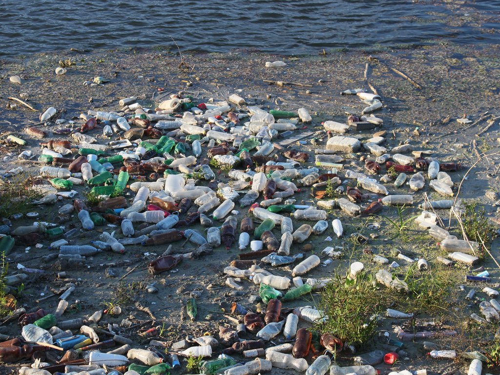 hollywoodprogre's tweet image. RT DebbieatEMA: Stop using single-use plastics. #DearMeTenYearsAgo