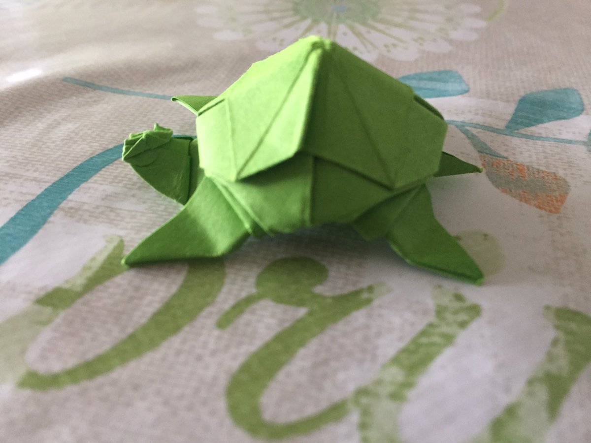 Jonakashima Hashtag On Twitter