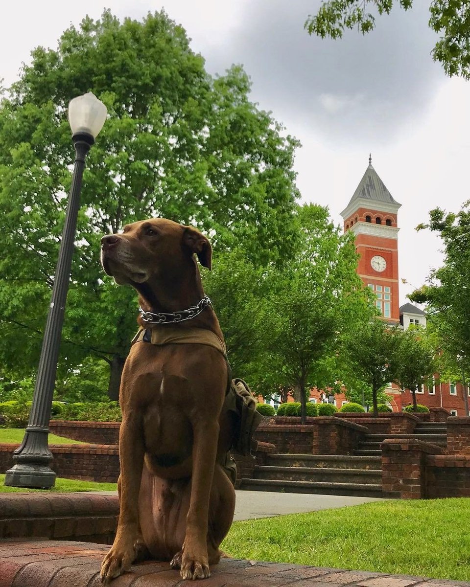 😍😍😍  ⠀⠀⠀⠀⠀⠀⠀⠀⠀⠀⠀⠀ ⠀⠀⠀⠀⠀⠀⠀⠀⠀⠀⠀⠀

Photo Credit: (Turnerandme/IG)